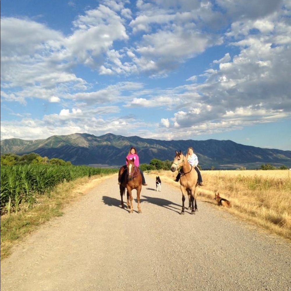 Meet your Posher, Bella